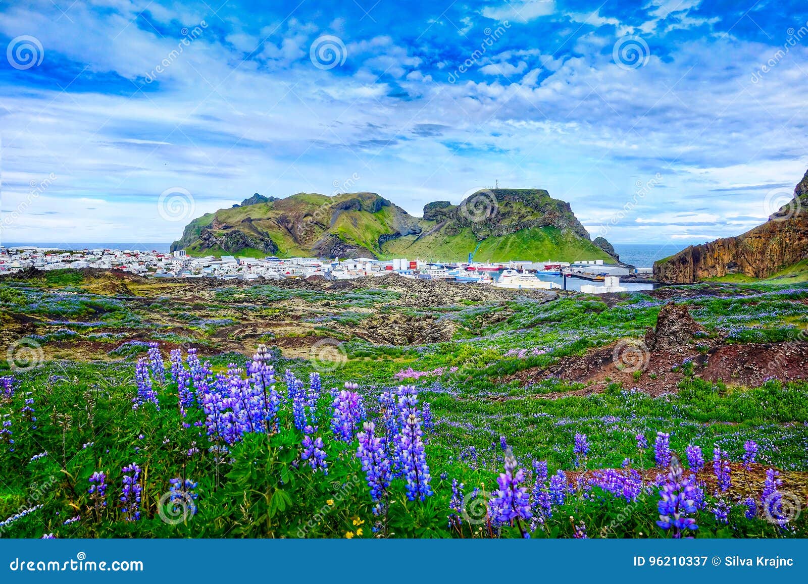 Panoramablick Von Vestmannaeyjar Stadt Auf Westman Inseln Von Island Stockbild Bild Von Island Vestmannaeyjar