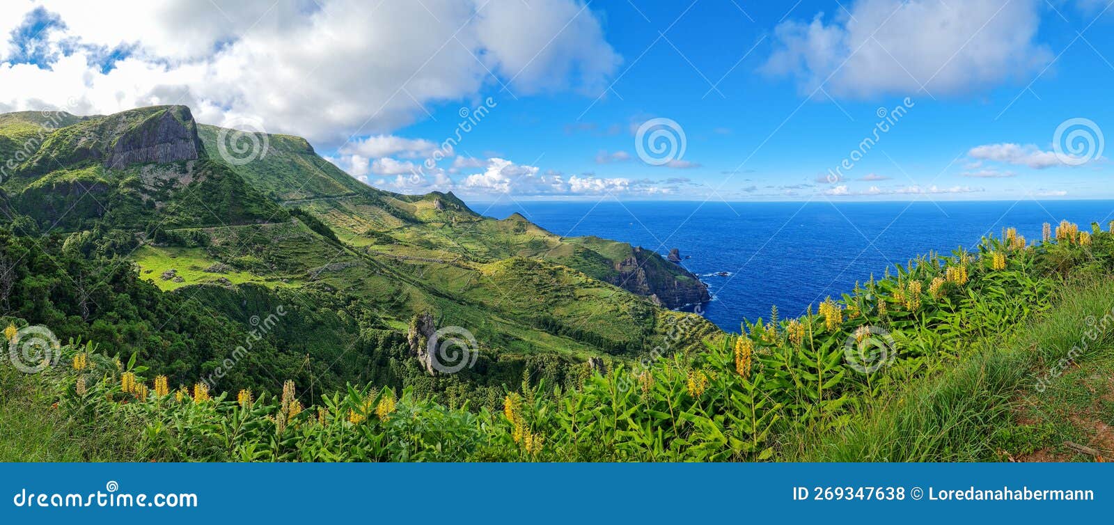 panoramaview of basalt cliffs of rocha dos bordoes on flores island, azores, portugal