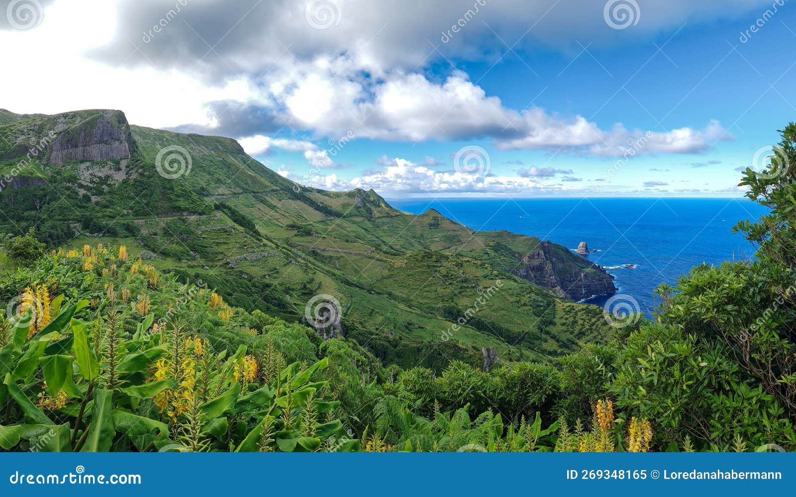 panoramaview of basalt cliffs of rocha dos bordoes on flores island, azores, portugal