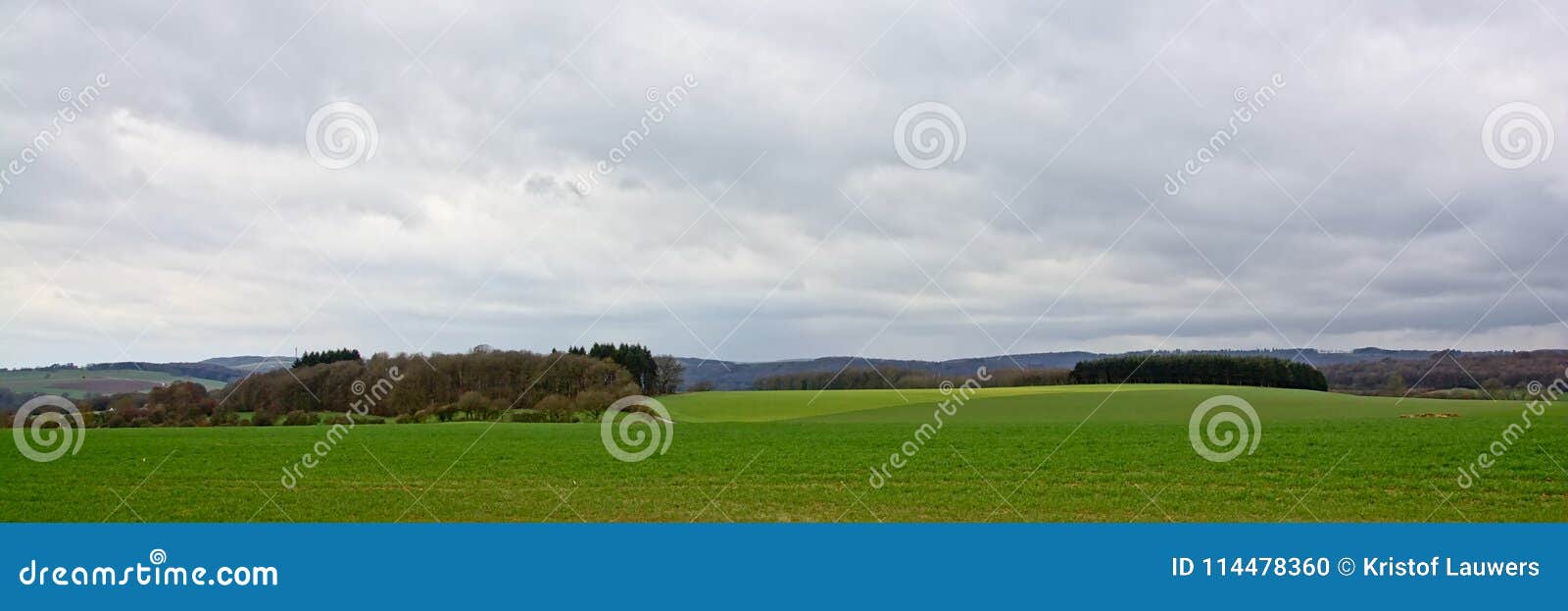 Panoramic Ardennes Landscape, Lush Green Fields, with Hills and Forests ...