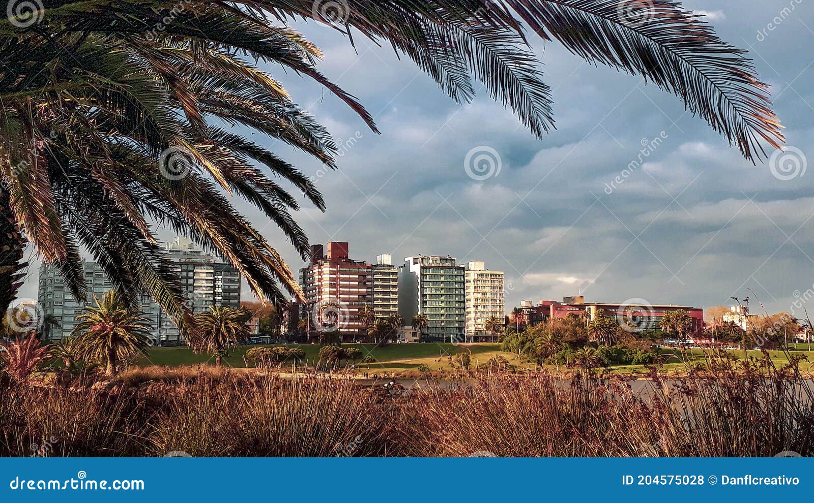 buceo port panoramic landscape, montevideo, uruguay