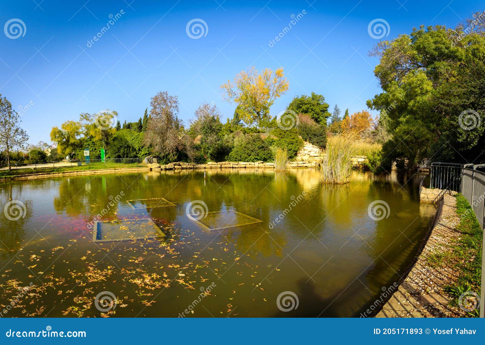 panoramic image of the artificial lake