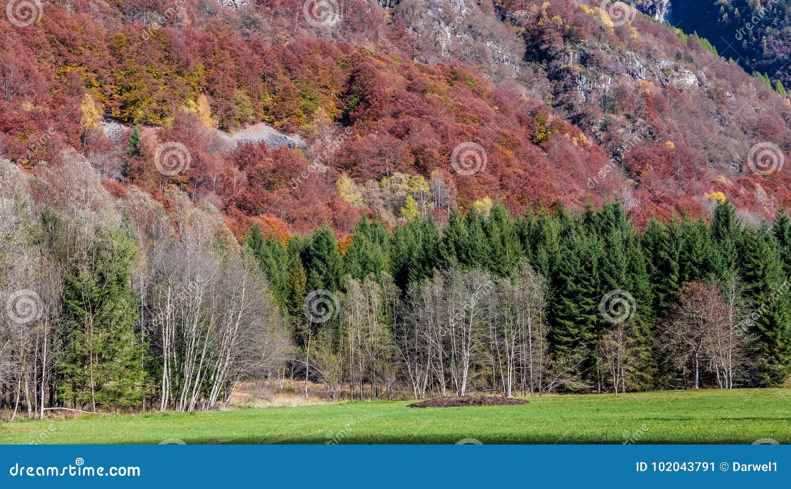 calm transition from summer to autumn