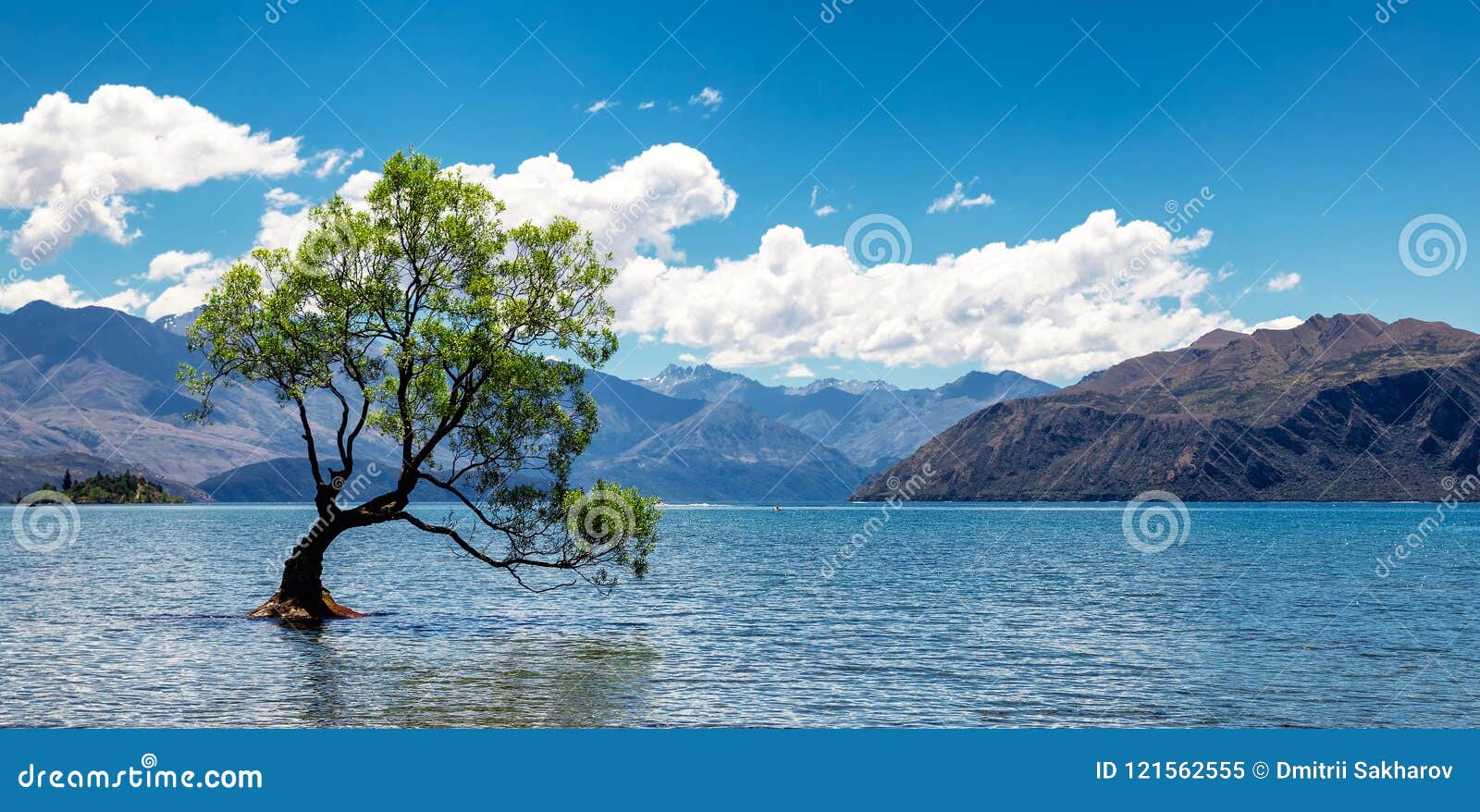 Panoramic image of the lonely tree in lake in Wanaka, New Zealand