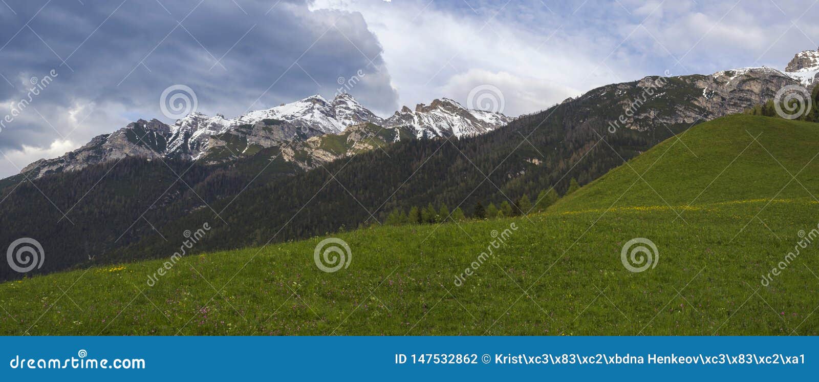 Panoramic Landscape Of Green Spring Meadow With Blooming Flowers And