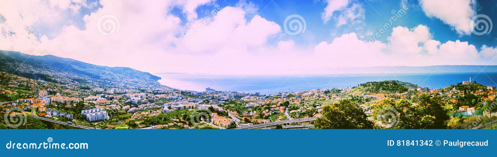 panoramic landscape with view of funchal, madeira island