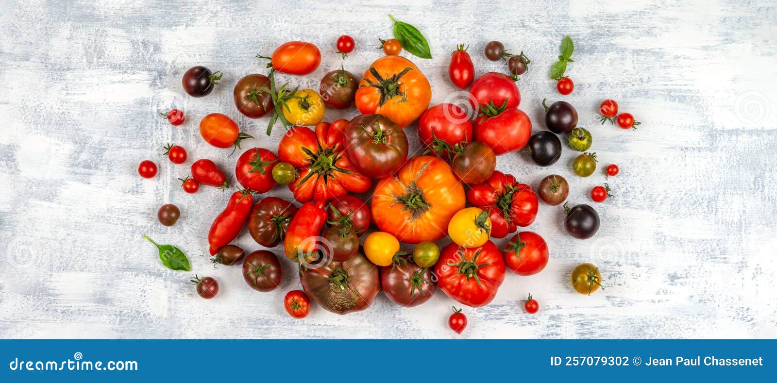 panoramic of old tomatoes grouped in the center of the image and more sparse on the outside