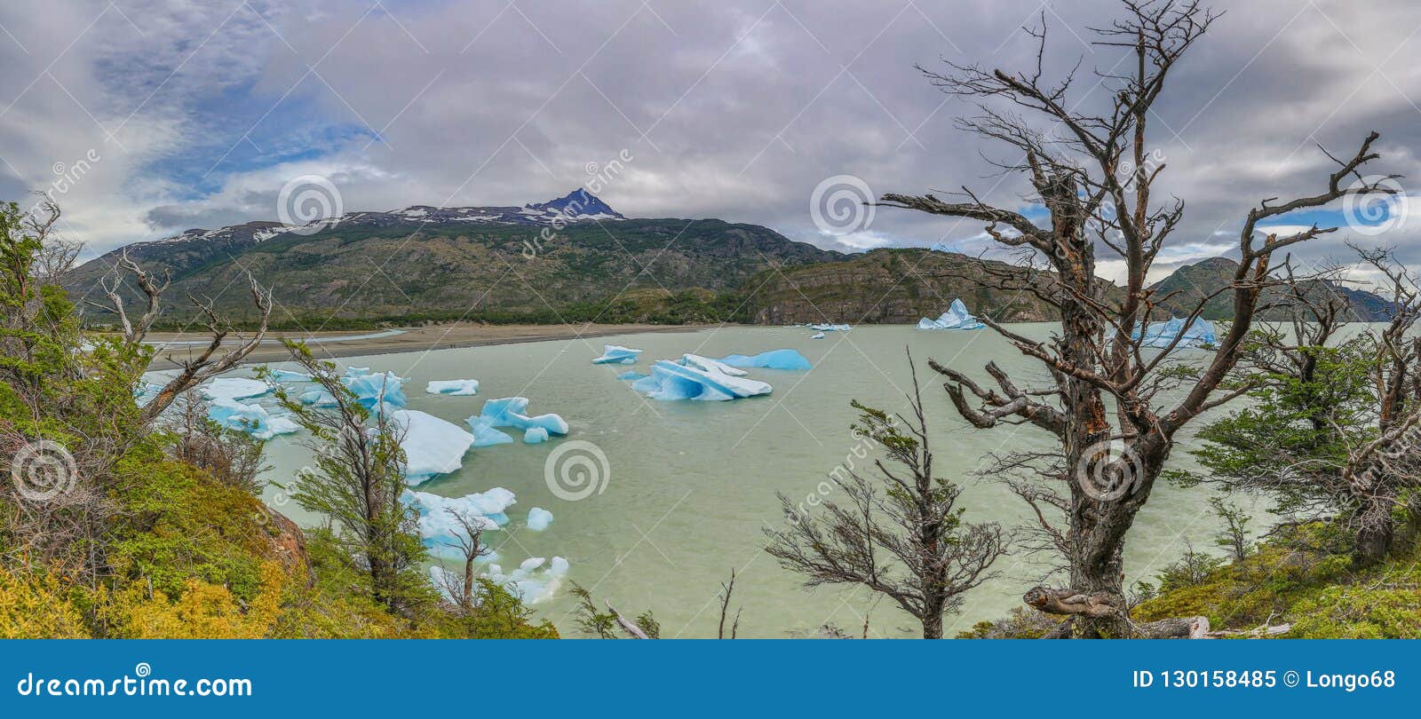 panoramic picture of lago grey in patagonia with floating iceberg