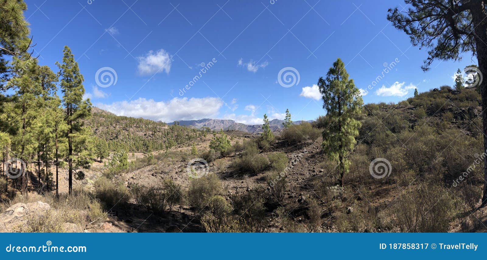 panoramic scenery around las ninas reservoir