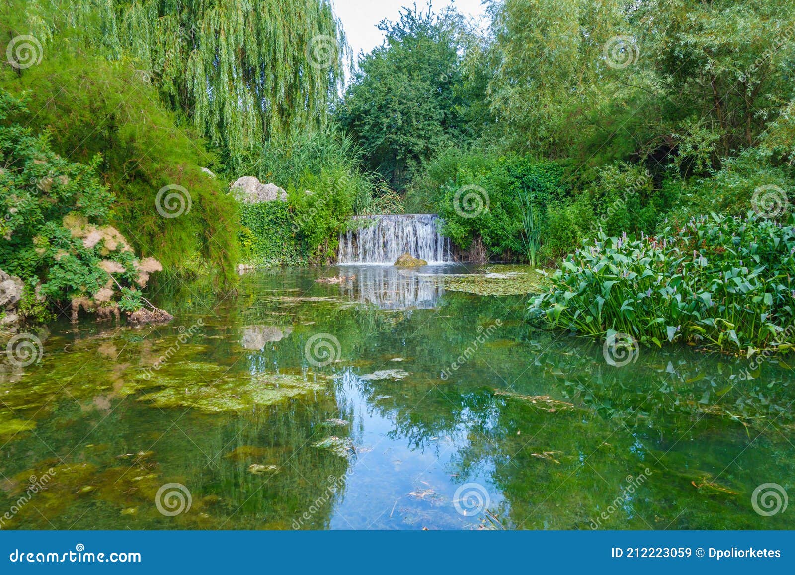 ryste Forfatter Døds kæbe Panoramic Scenic View of Forest Lake with a Waterfall, a Wall of Trees and Aquatic  Plants. Pastoral is Mirrored in Water Stock Image - Image of holiday, pond:  212223059