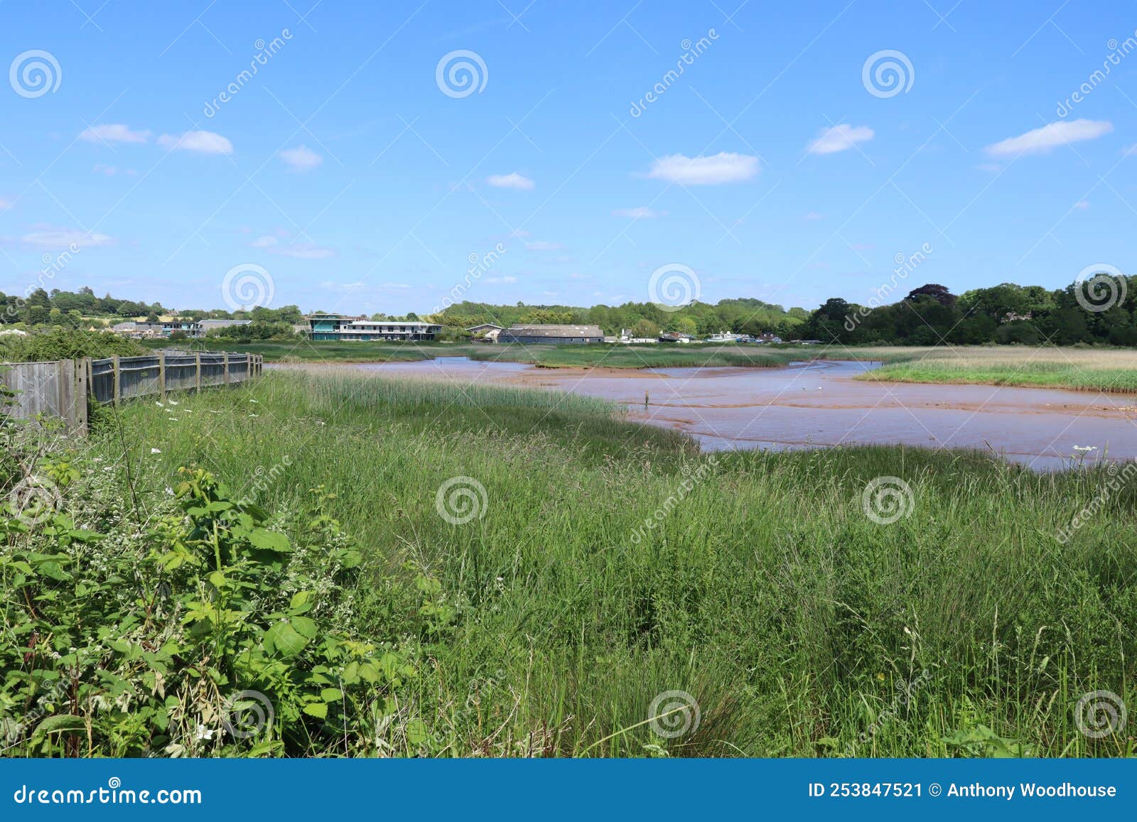 Panoramic Shot of the Bird Sanctuary on the River Exe Near Topsham in