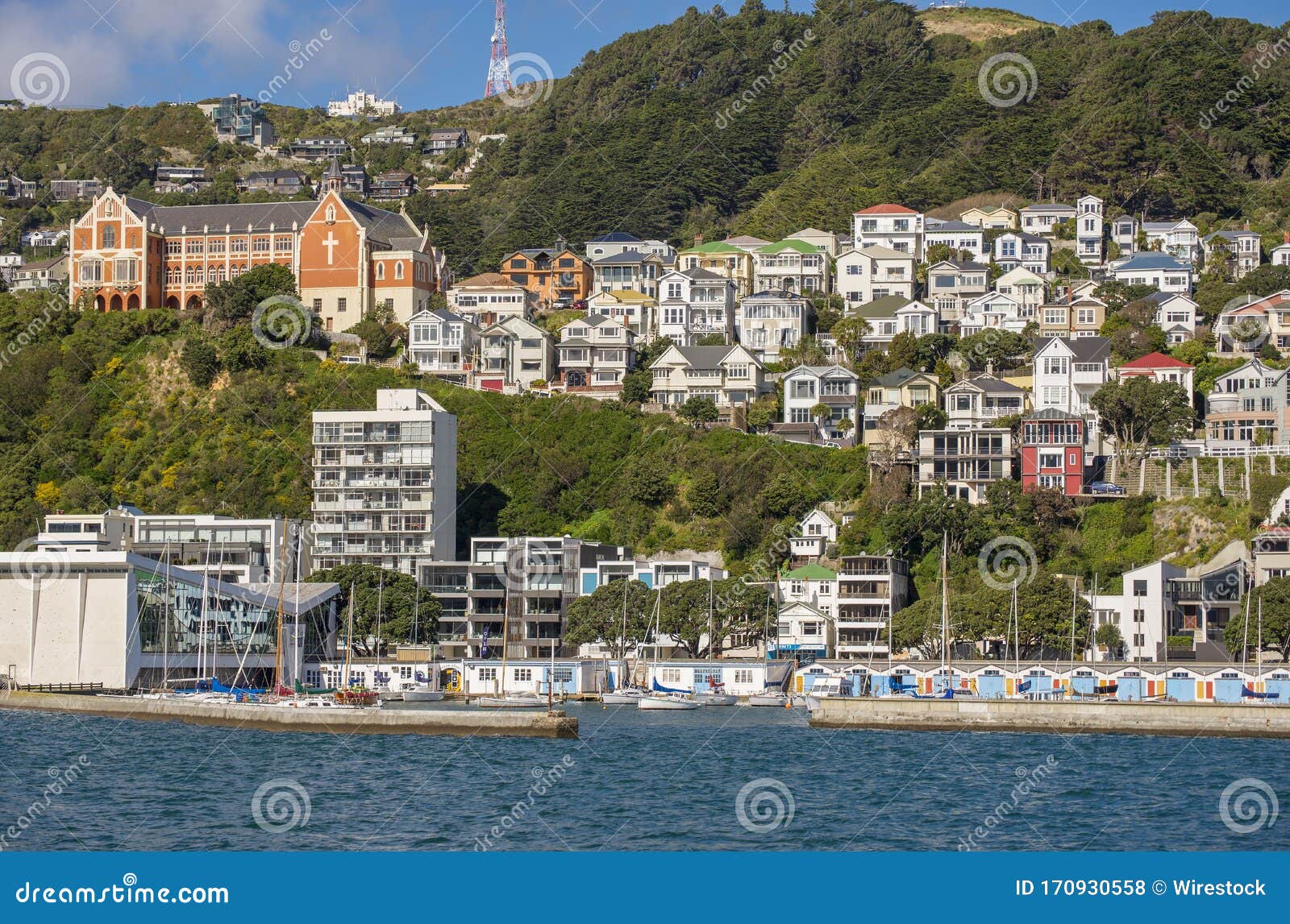 panoramic shot of expensive real estate on mt victoria and oriental bay in wellington, new zealand