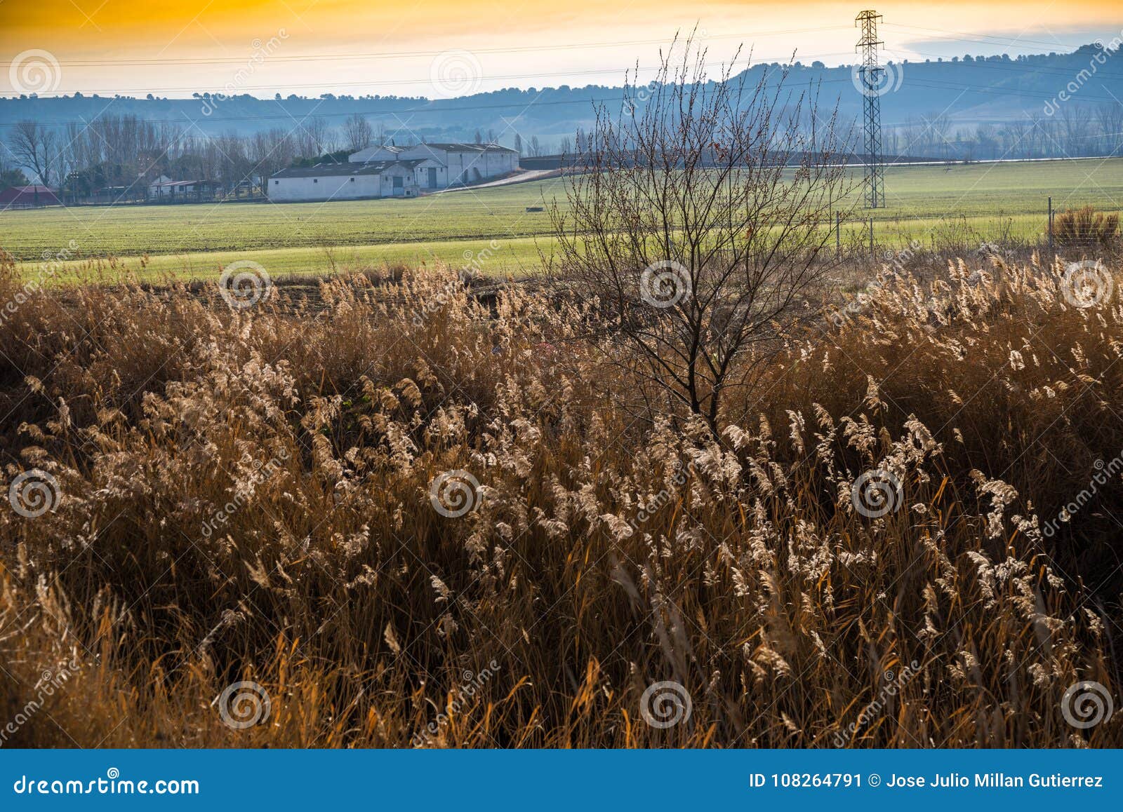 Natural Landscape of the Rivera of a River Stock Image Image of