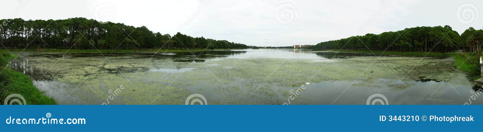 panoramic of taylor lake