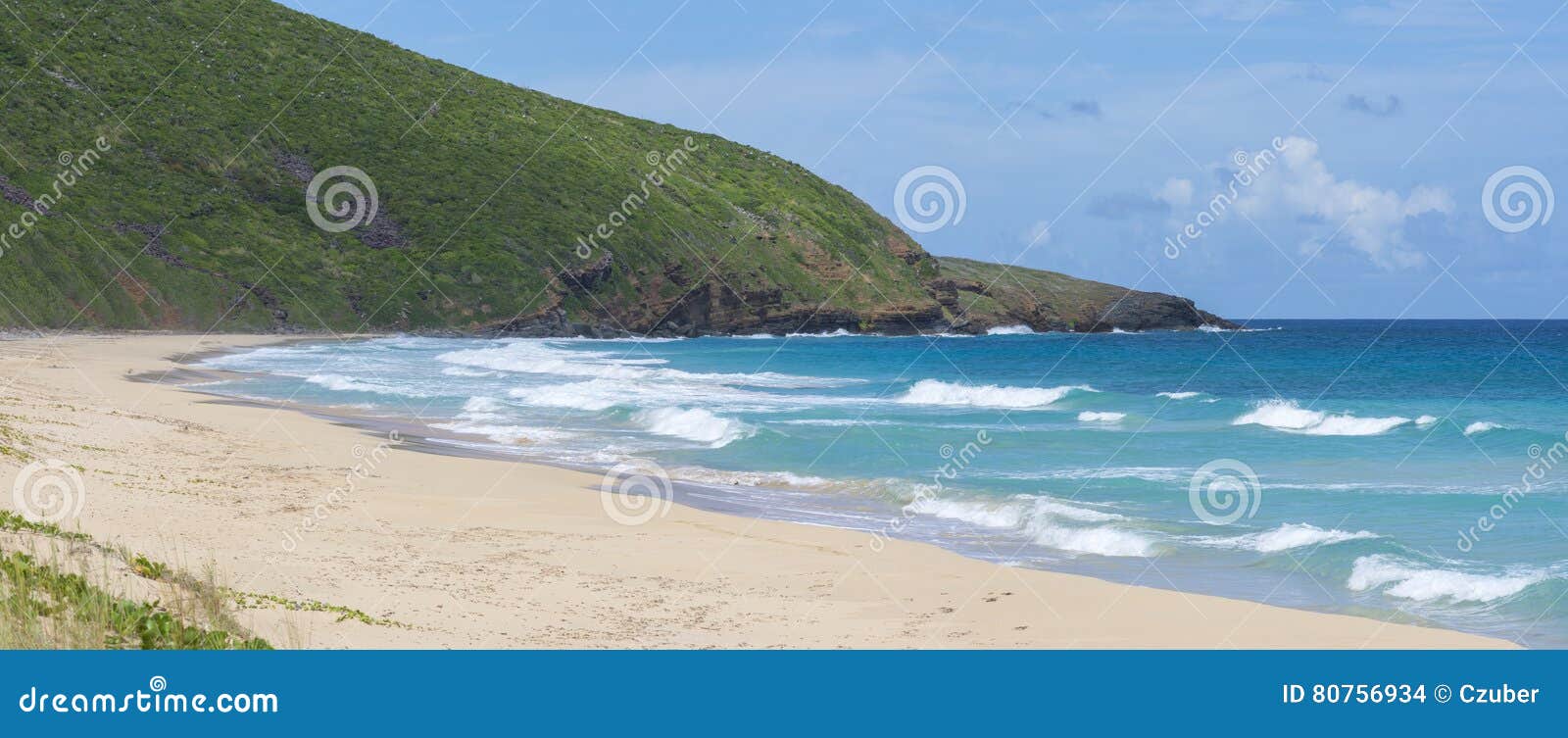 panoramic tropical caribbean beach