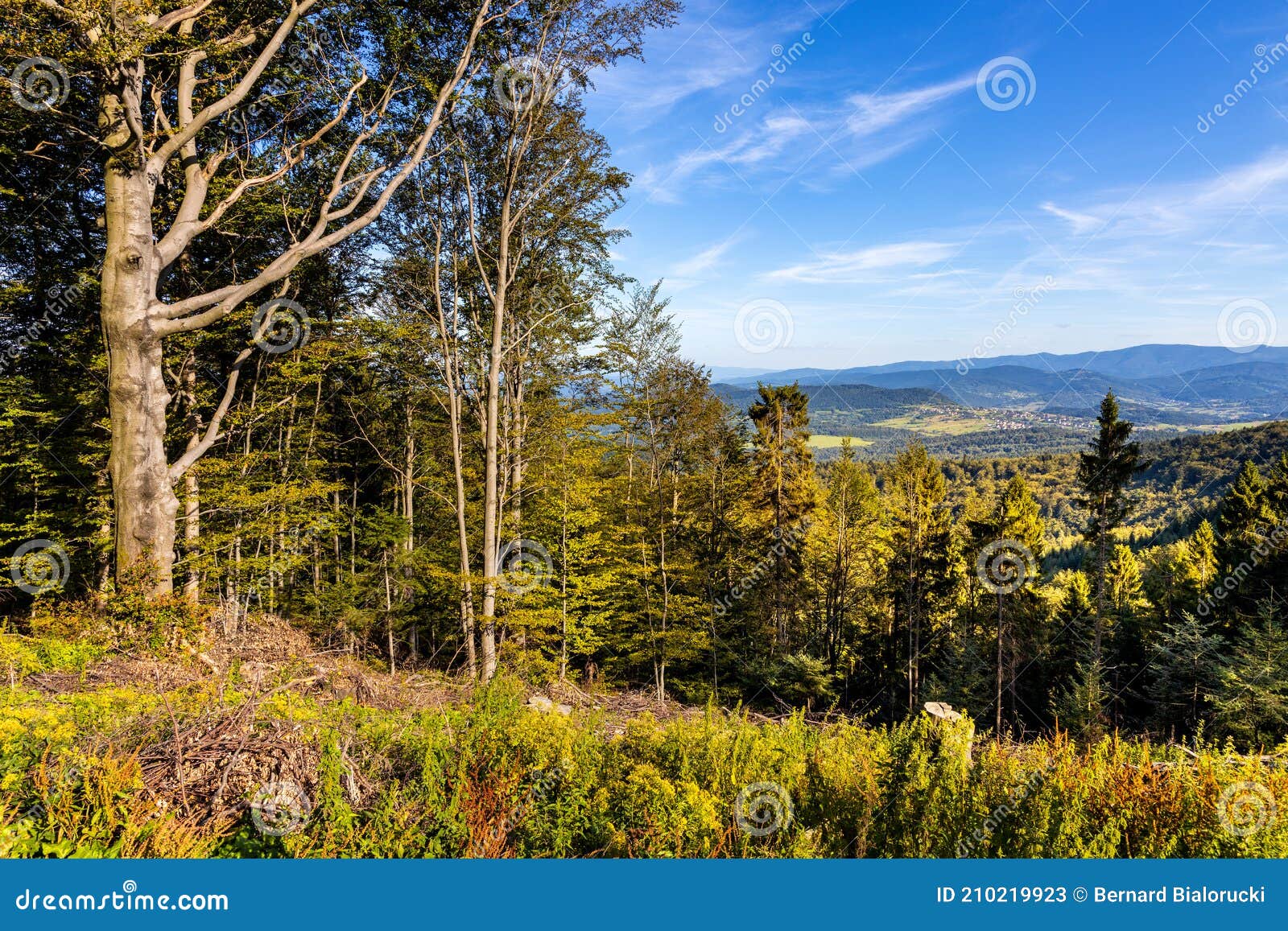 eastern beskidy mountains from gron jana pawla ii - john paul ii peak in little beskids mountains in lesser poland