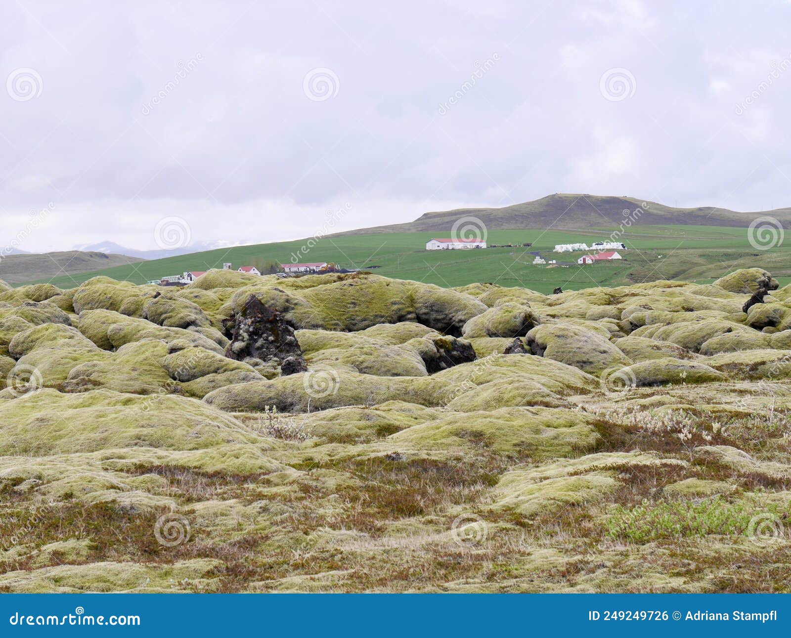 Panoramic View Of Eldhraun Lava Field In Southern Iceland Stock Photo