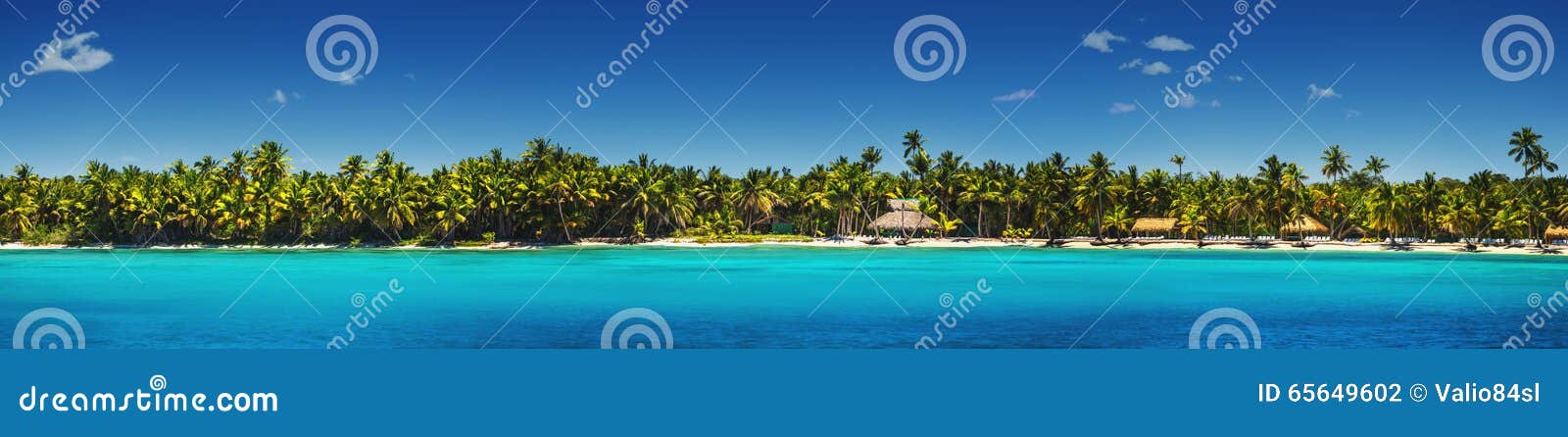 panoramic view of exotic palm trees on the tropical beach