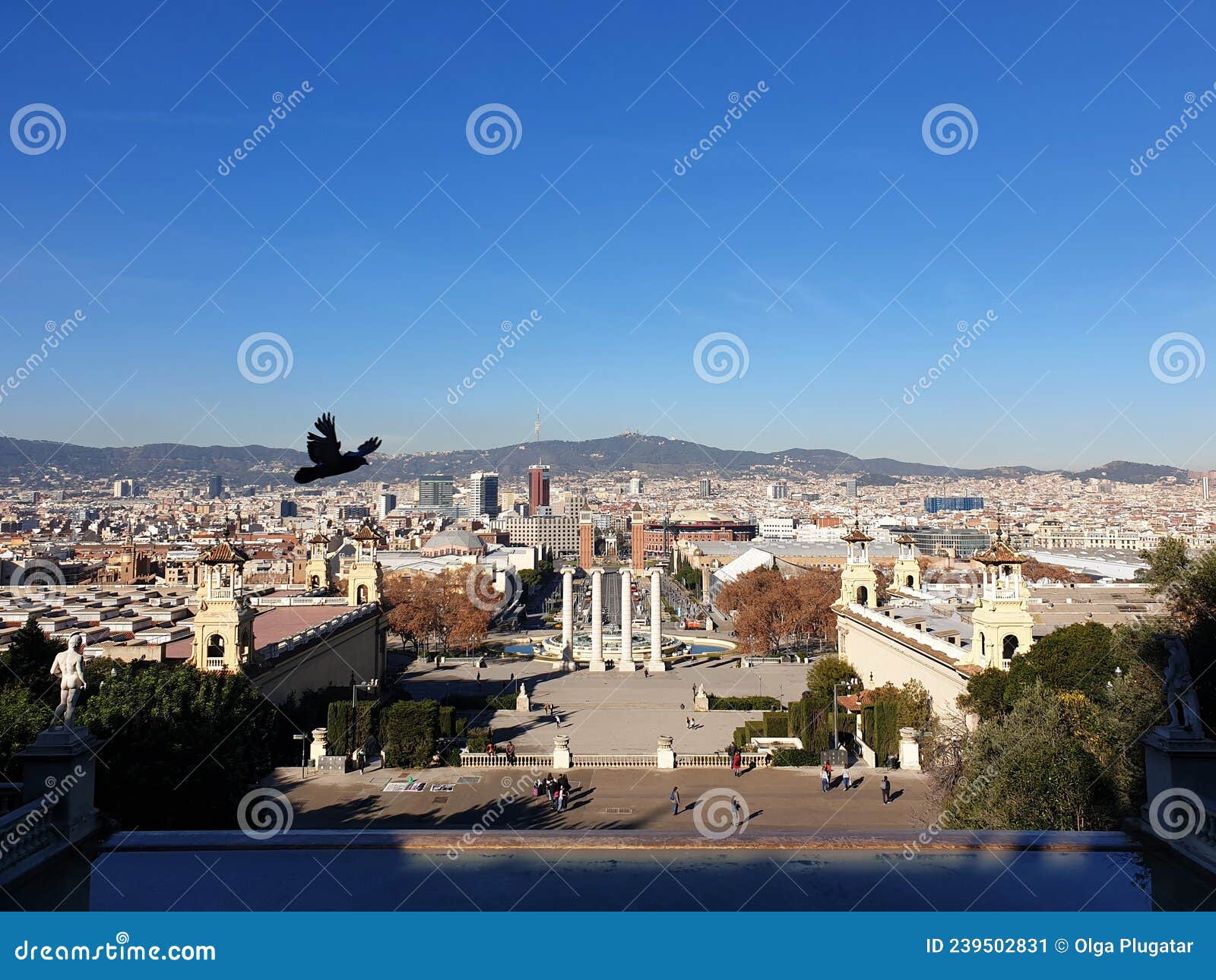 panoramic view from montjuic on barcelona city, plaza espana, sunny day, blue sky, spain