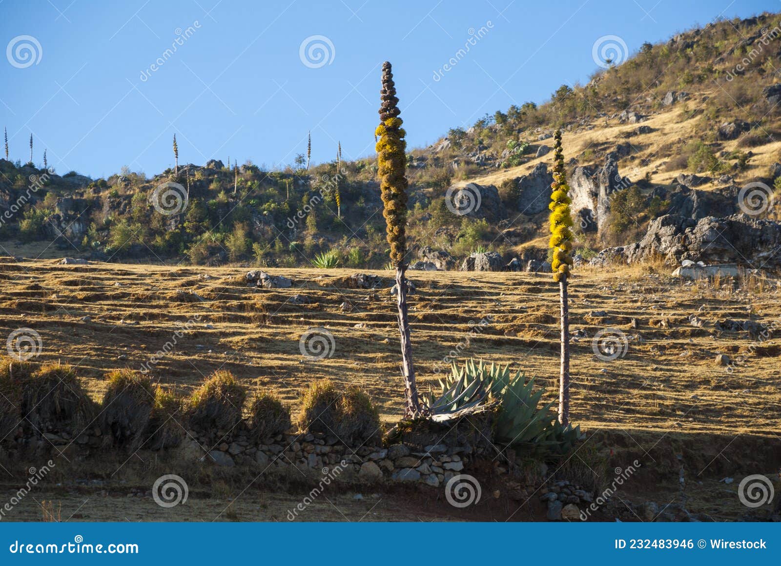 panoramic view mountains in sierra de los cuchumatanes, huehuetenango, guatemala, arid landscape.