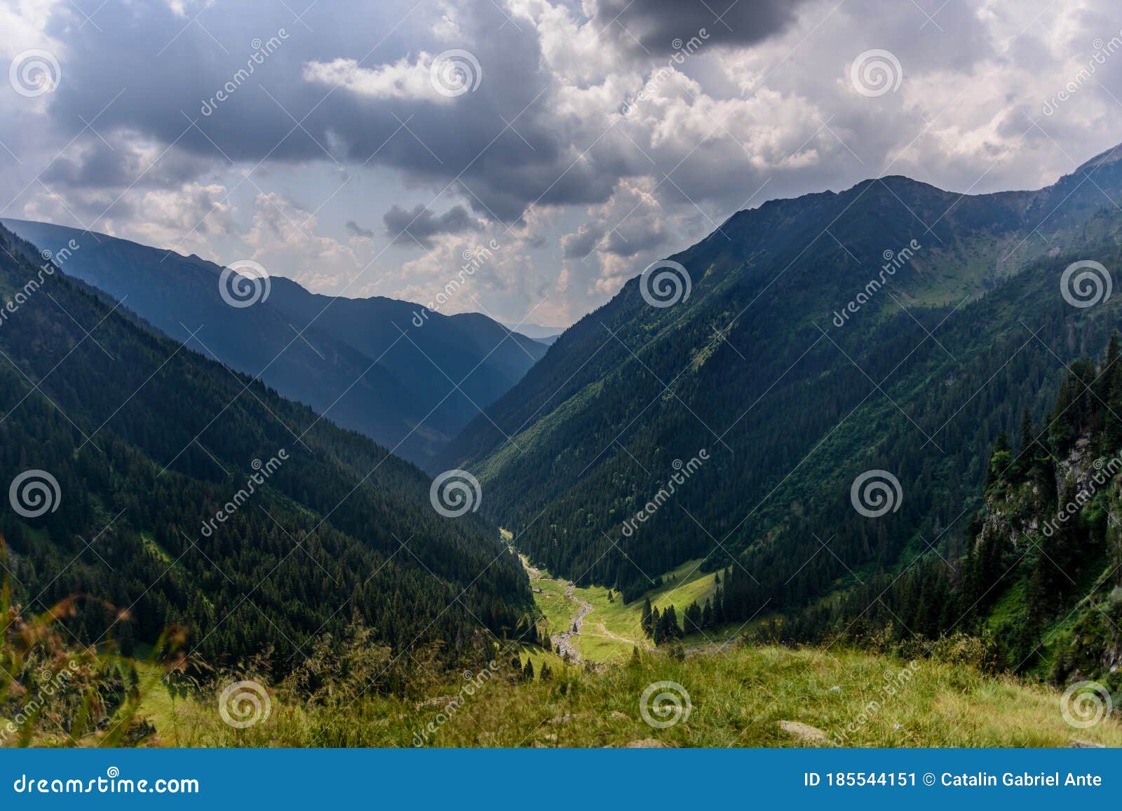 panoramic view over the green and lush summerish valea rea bad valley, fagaras mountain