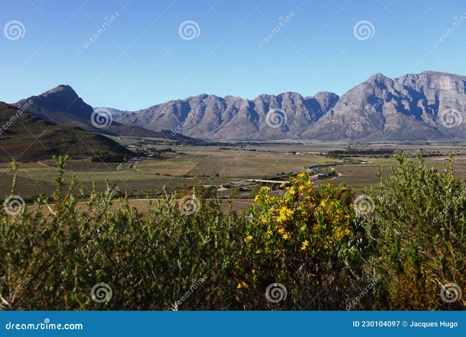 a panoramic view over the slanghoek valley
