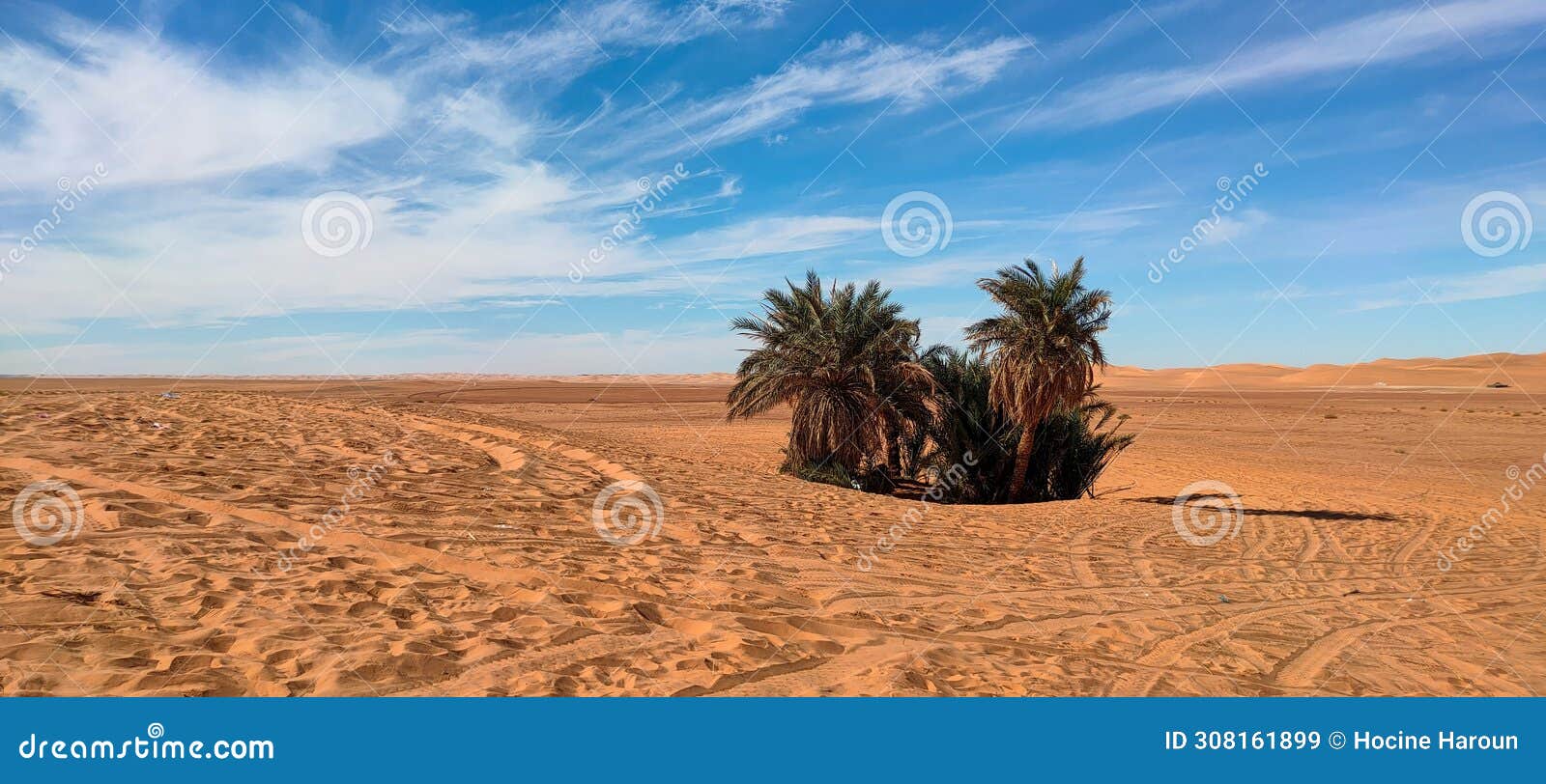 the red oasis timimoun in algeria