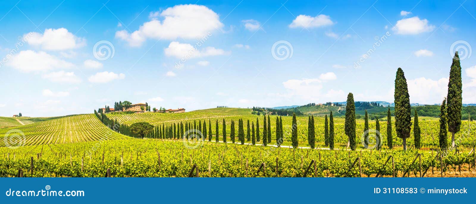 panoramic view of scenic tuscany landscape with vineyard in the chianti region, tuscany, italy