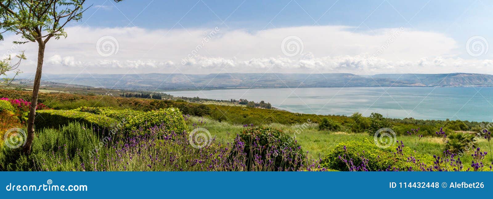 panoramic view of the sea of galilee from the mount of beatitudes, israel