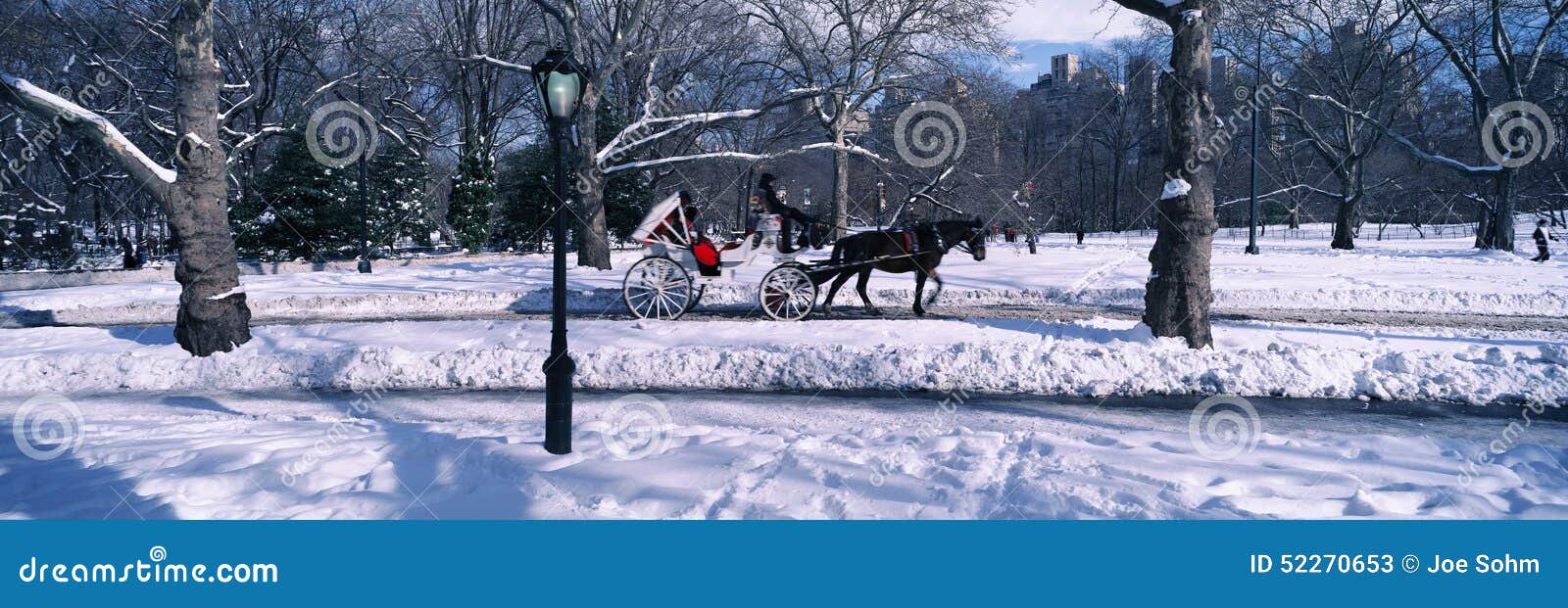 panoramic view of snowy city street lamps, horse and carriage in central park, manhattan, new york city, ny on a sunny winter day