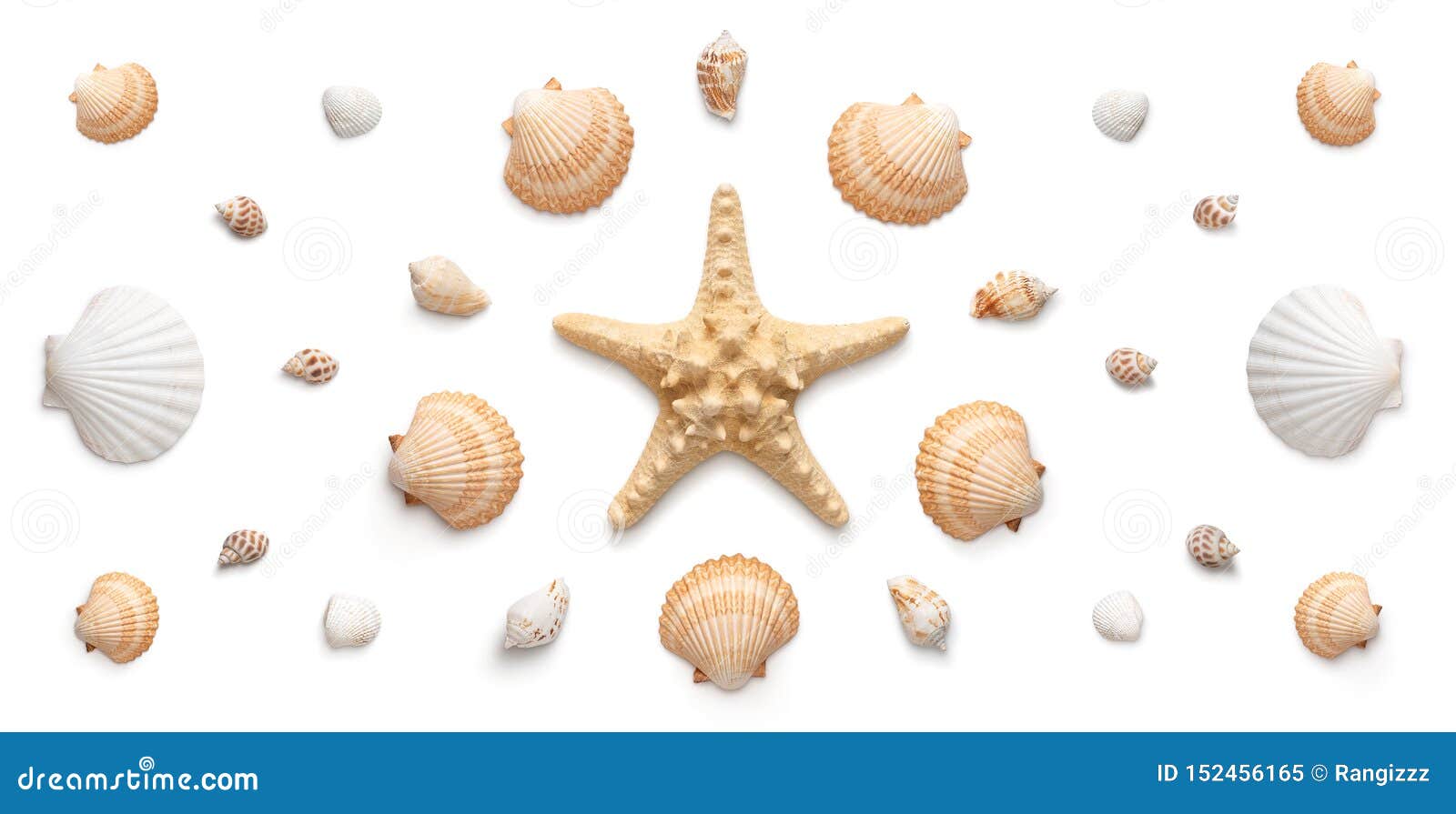 Seashells Isolated On A White Background. Shells Painted In Gold Color