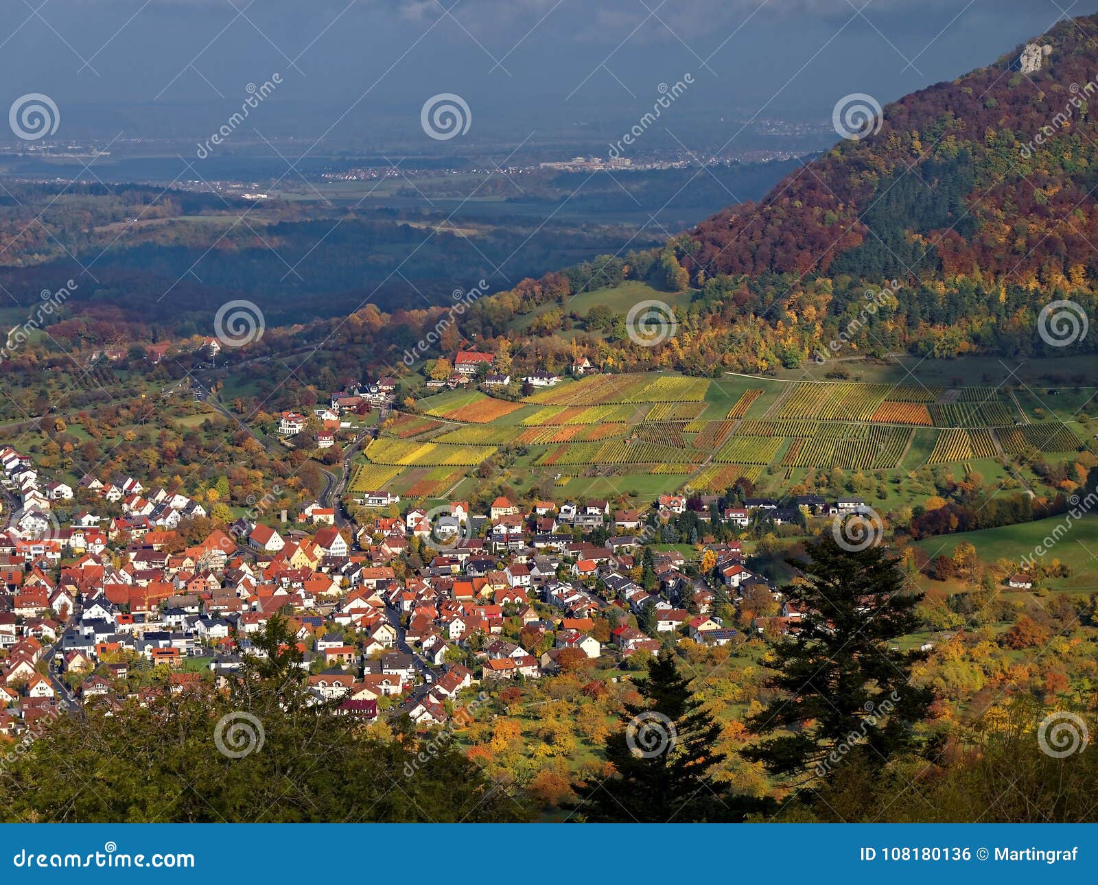 aerial view german vine-growing landscape with towns at fall