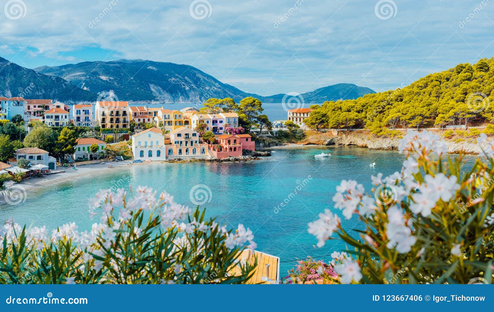 panoramic view to assos village in kefalonia, greece. bright white blossom flower in foreground of turquoise colored