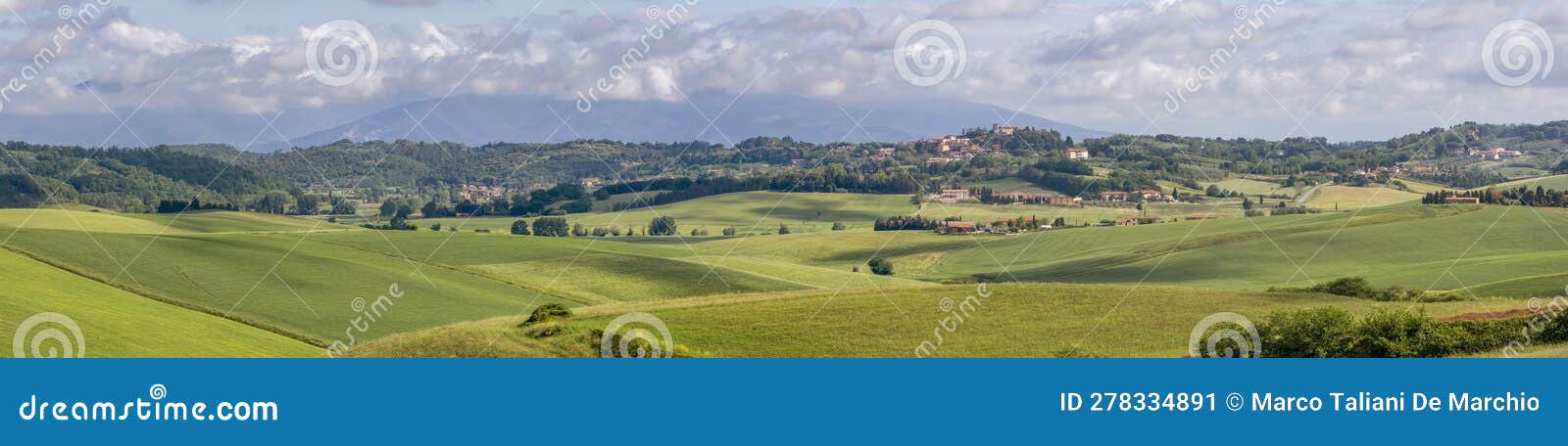 panoramic view of the tuscan countryside in spring in the province of pisa, between orciano pisano and lorenzana, italy