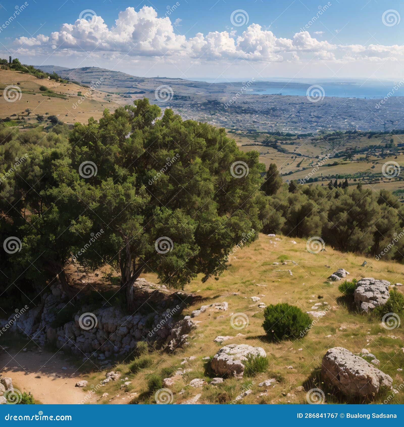 panoramic view of the upper galilee, and southern lebanon, from adir mountain, northern israel made with