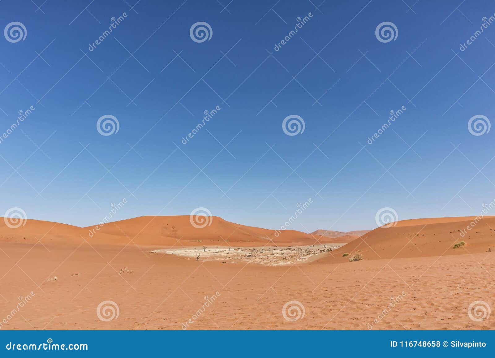 panoramica of death vley in the desert of namibia. sossusvlei.