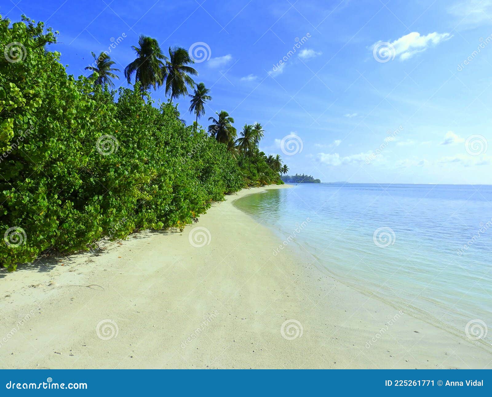 panorÃÂ¡mica playa tropical maldivas.