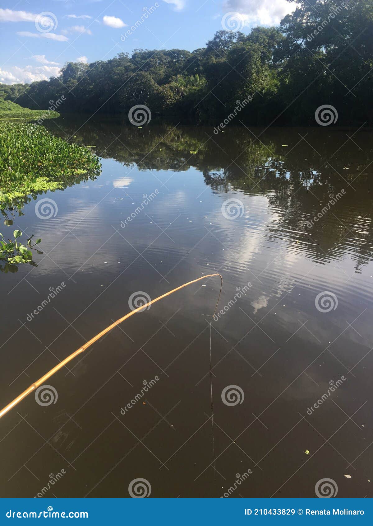 river at pantanal sul, brazil