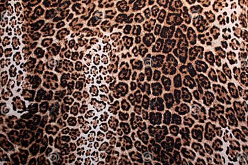 Panther pattern stock image. Image of natural, panther - 5194425