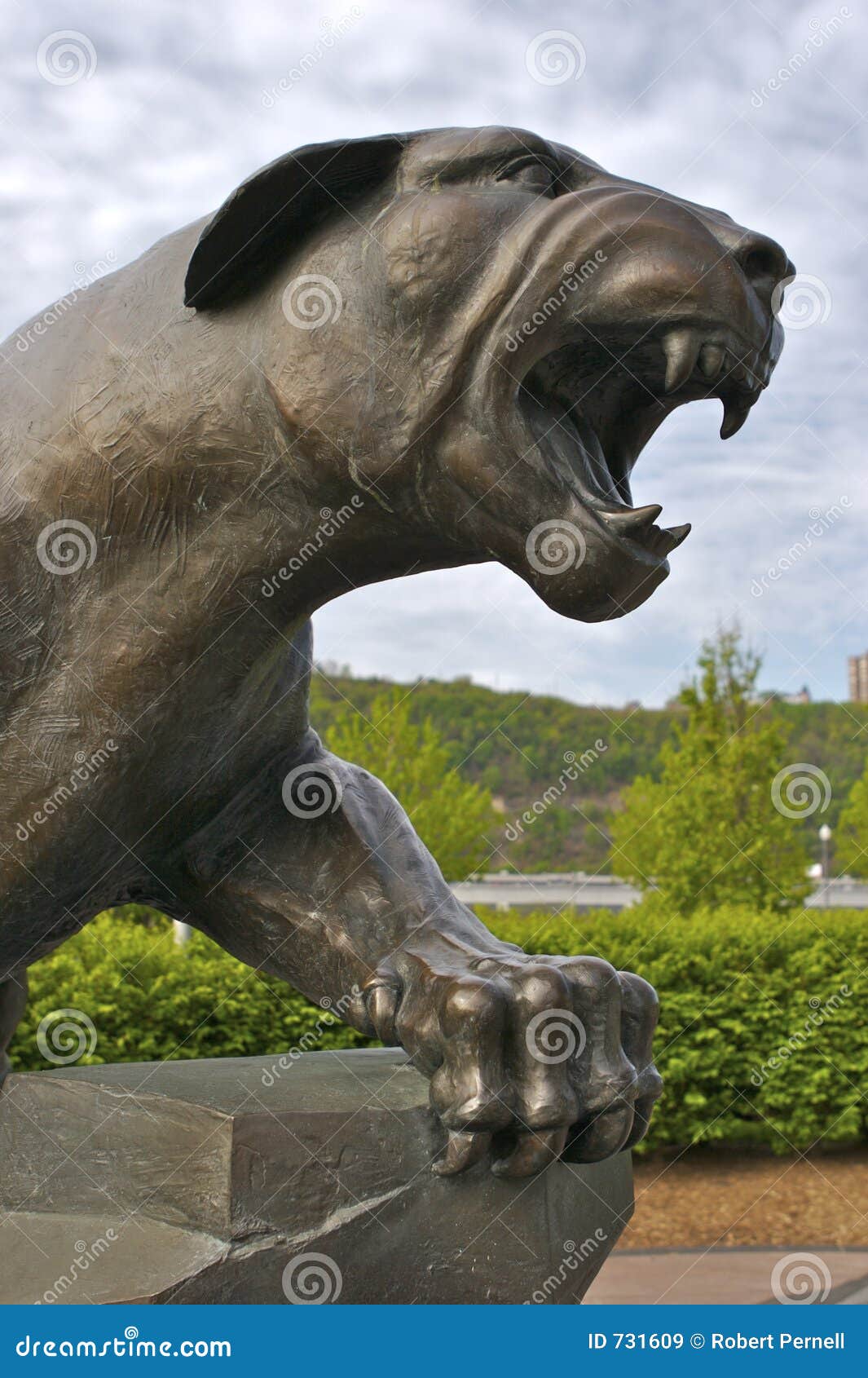 Panther Statue stock image. Image of portrait, puma, face 731609