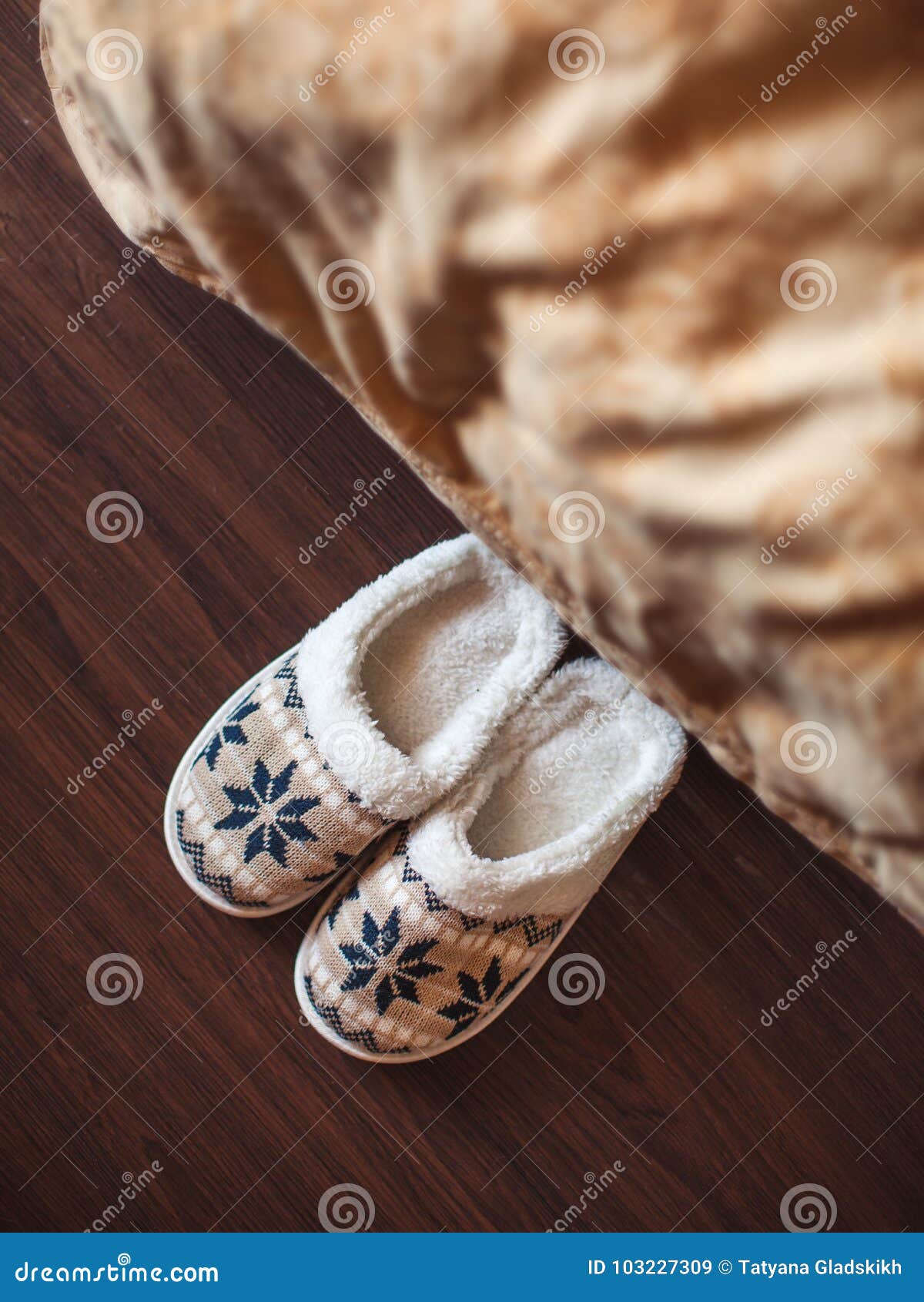Pantoffels op vloer stock afbeelding. Image of mening - 103227309