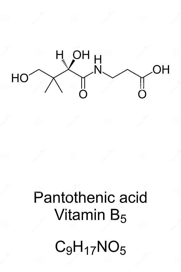Pantothenic Acid Vitamin B5 Chemical Formula and Skeletal Structure