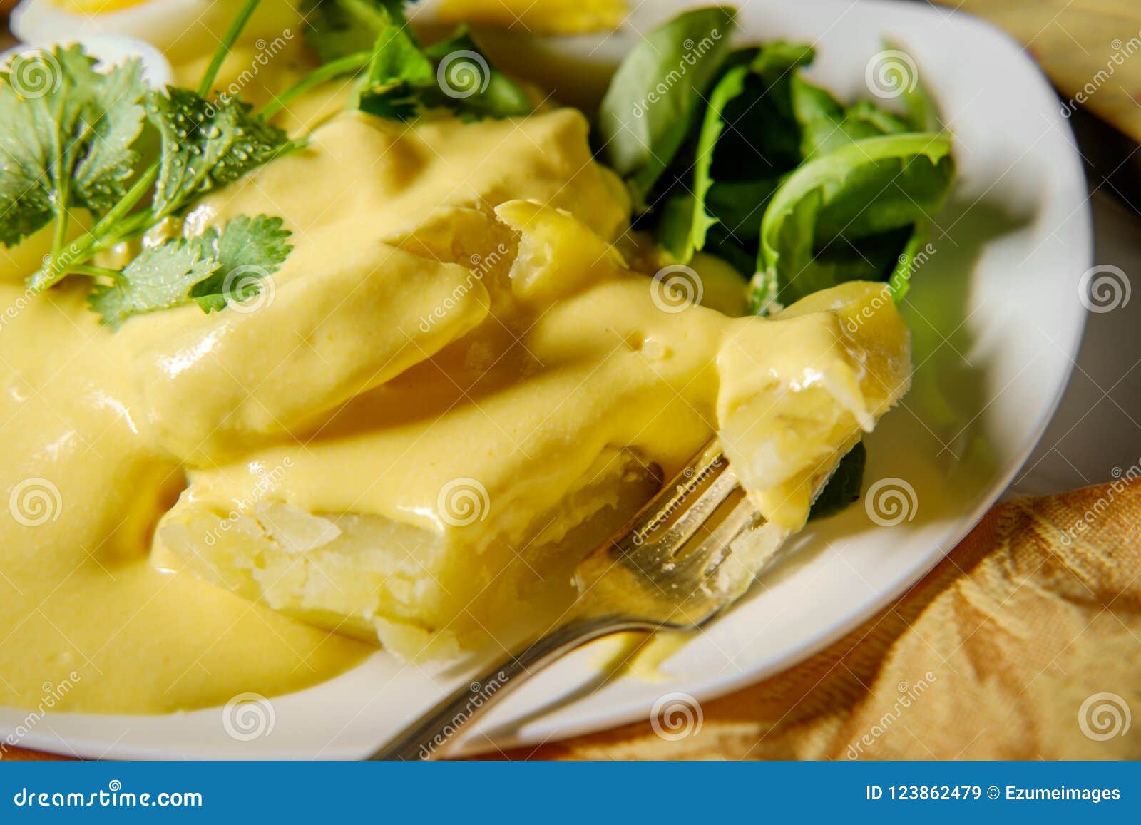 Papa A La Huancaina Stock Image Image Of Cheese Cilantro 123862479,Carpenter Ants With Wings In House