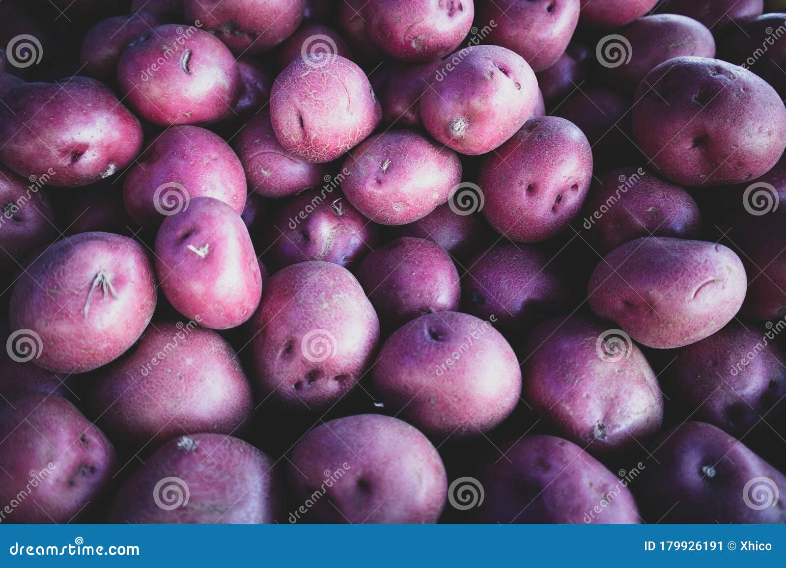 Papas Rojas Para Bebes Organicas En El Mercado De Los Agricultores Imagen De Archivo Imagen De Fresco Hojas Papas Rojas Para Bebes Organicas En El Mercado De Los Agricultores Imagen De Archivo Imagen De Fresco Hojas