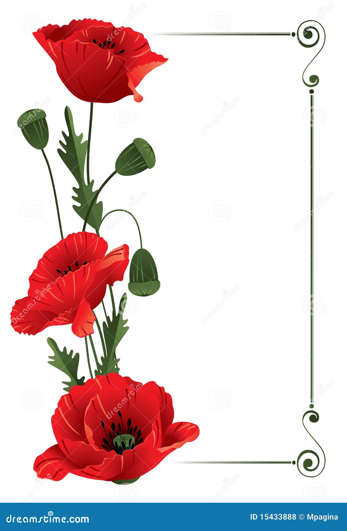 Papaveri e margherite