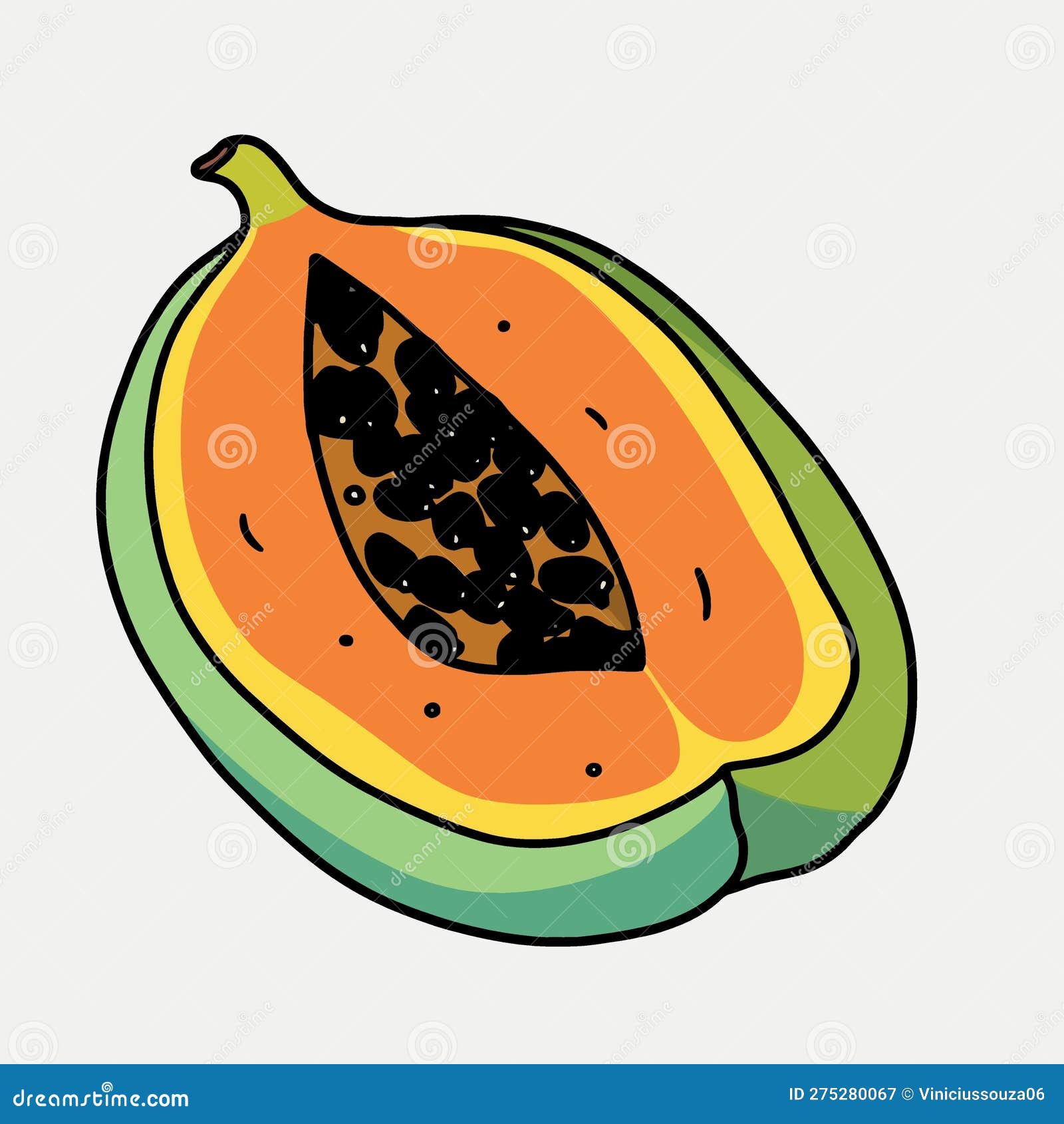 Papaya fruit cut in half stock vector. Illustration of green 275280067