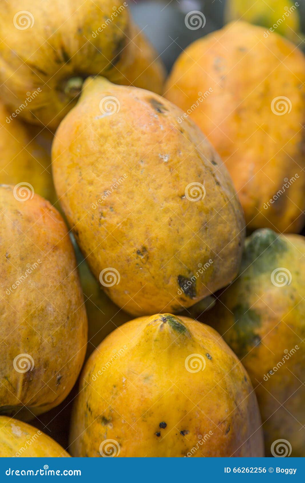 Papaya on Market in Mumbai, India Stock Photo Image of nutrition