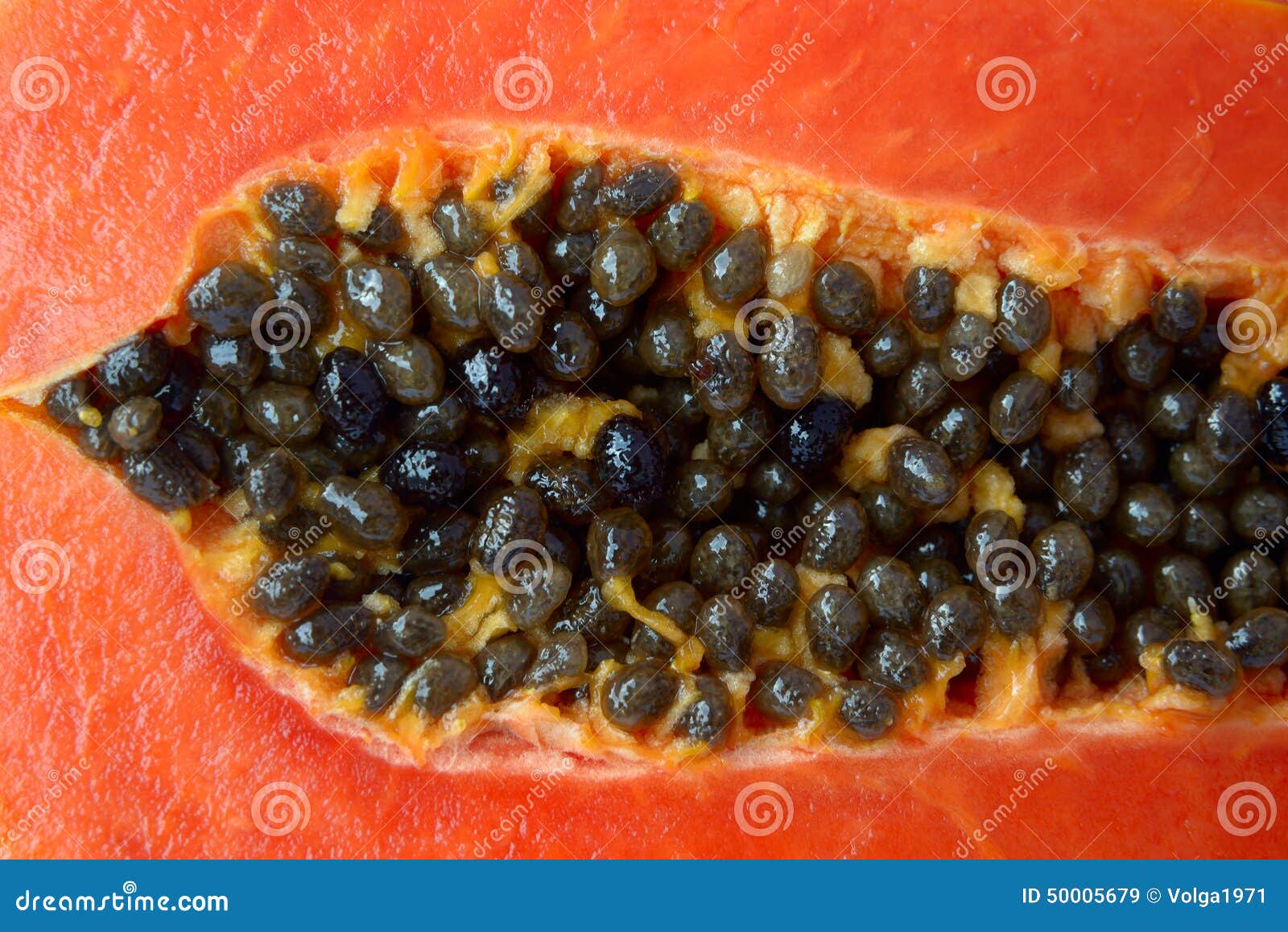Papaya stock image. Image of pulp, diet, delicious, freshness 50005679