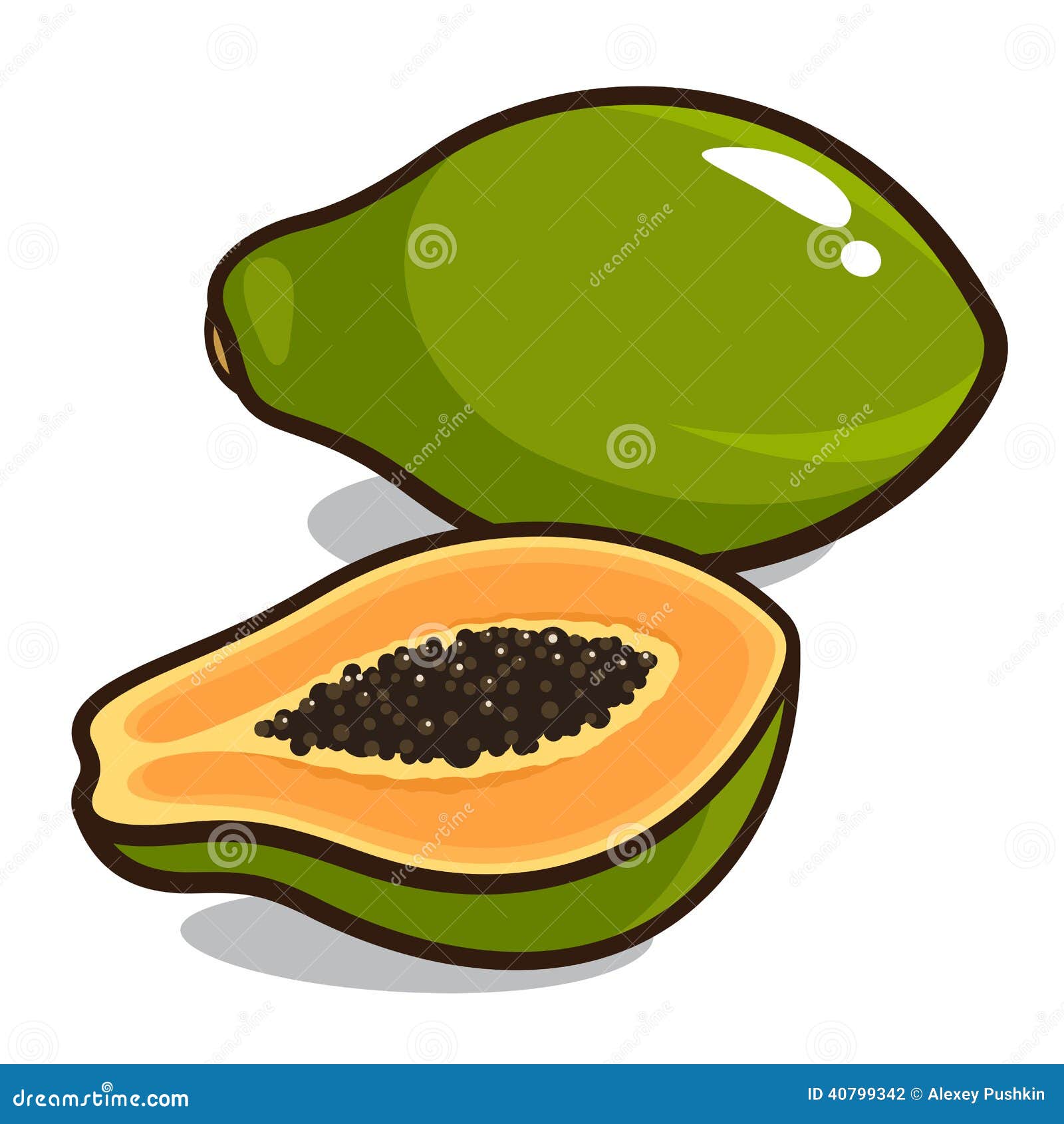 Papaya stock vector. Illustration of vector, tropical 40799342