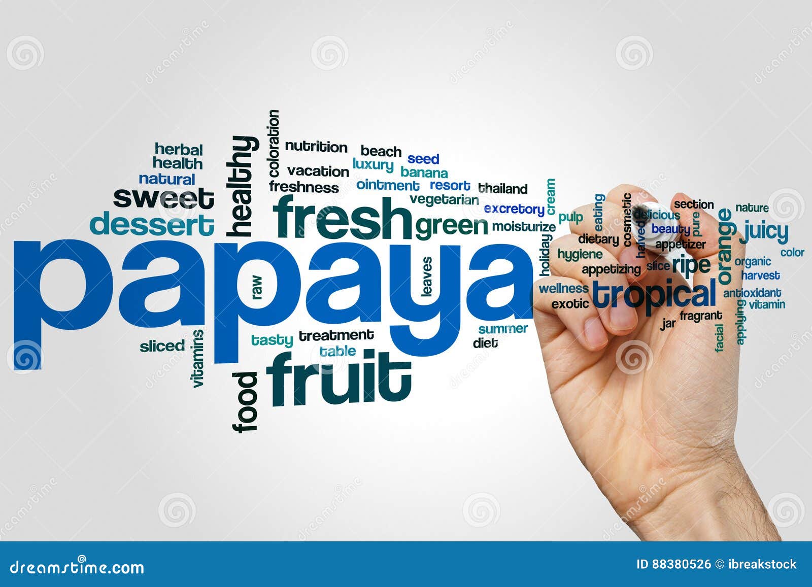 Papaya word cloud stock photo. Image of eating, antioxidant 88380526